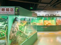 -上海大自然野生昆虫馆(东方明珠·爬宠昆虫探索中心)