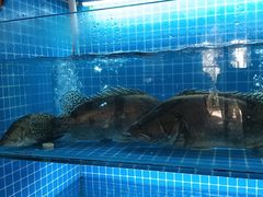 -雅和生态渔庄·宜城锅巴饭(龙灵山公园店)