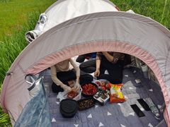 -五甲塘生态湿地公园