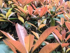 -海兰云天度假区温泉