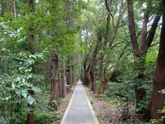 -同里国家湿地公园