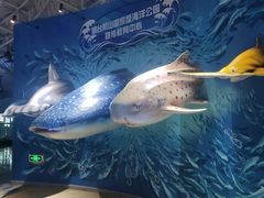 -烟台海昌鲸鲨海洋公园