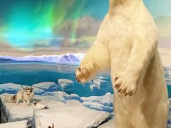 -陕西自然博物馆