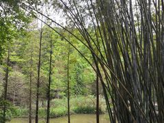 -云溪植物园