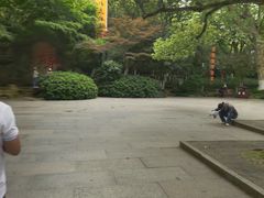 -杭州黄龙洞