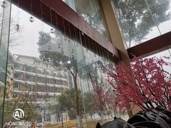 -三江森林温泉度假区