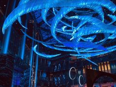 -西安W酒店·WEI全味西餐厅