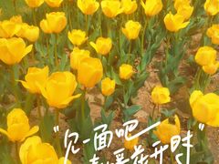 -西宁市人民公园(城西区)