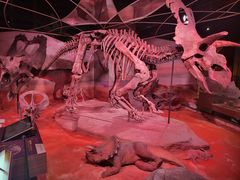 -正佳自然科学博物馆