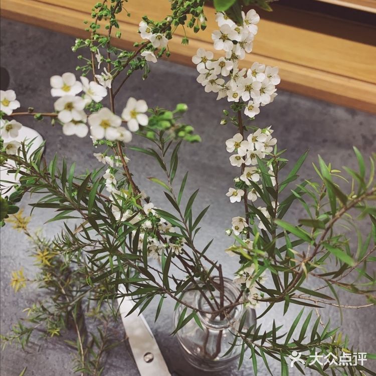 玩这个也有一段时间了吧