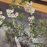 玩这个也有一段时间了吧