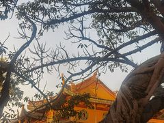 -江心屿景区