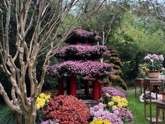 -杭州植物园