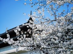 -苏州上方山国家森林公园