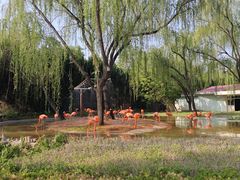 -石家庄市动物园