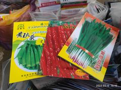 -中环花鸟鱼虫市场