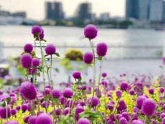 -上海山野camping·户外天幕烧烤·团建拓展营地