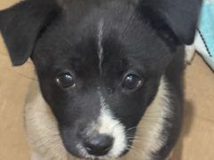 -海岸城停车场(海岸城店)