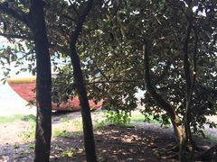 -坝光海滩