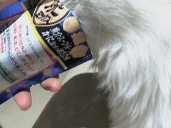 -藏猫猫咖啡主题馆(中央大道店)