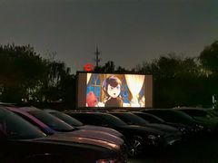 -枫花园汽车电影院(朝阳公园店)
