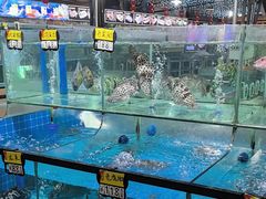 -绿雅居原生态农庄(小涌店)