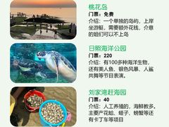 -巧克力渔家.小船海鲜胶东菜(万平口店)