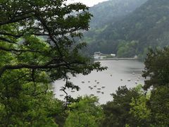 -黔灵山公园