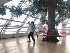 -陕西广播电视塔