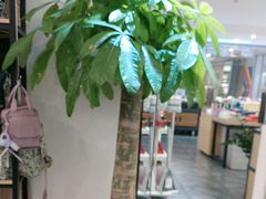 -大商麦凯乐(大连总店)