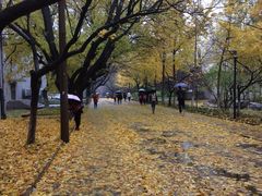 -山东师范大学(千佛山校区)