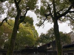 -天一阁博物院