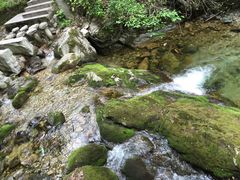 -牛背梁国家森林公园