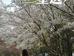 -阳澄湖半岛旅游度假区