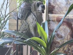 -大家乐东北菜(富河园店)