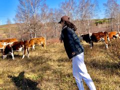 -塞罕坝国家级自然保护区