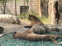 -北京野生动物园