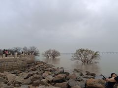 -宝安西湾红树林湿地公园