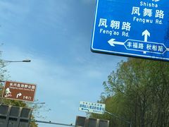 -上海长兴岛郊野公园