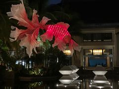 -海南清水湾莱佛士酒店