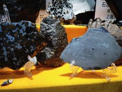 -志强陨石馆(双季花艺店)