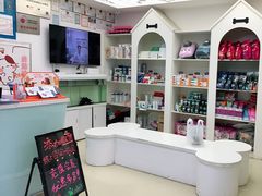 -特一安24小时宠物医院·骨科·中兽医