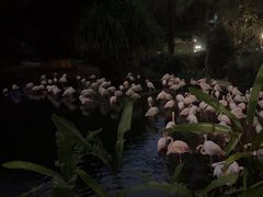 -九龙公园