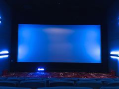 放映厅-奥斯卡升龙国际影城(RealD Cinema)