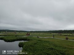 -塞罕坝国家级自然保护区