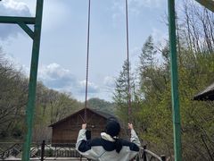 -天女山森林公园