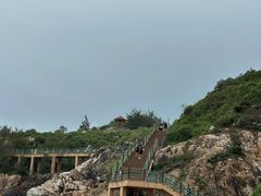 -广东惠东海龟国家级自然保护区