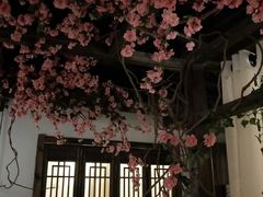 景观位-花千醉(新街口店)