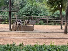 -济南野生动物世界