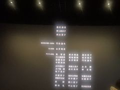 -金逸影城(荟聚IMAX激光店)